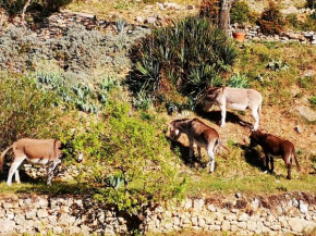 Les Git'Anes de Pontevès